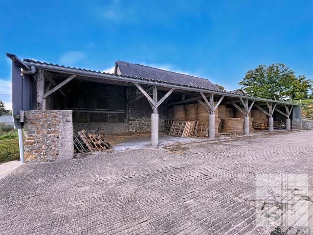 Maison vente à Mayenne, Andouillé