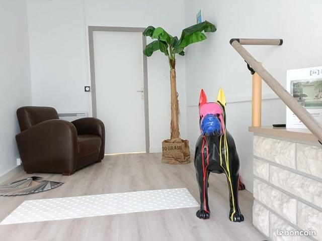 Maison vente à Châtellerault, Bonneuil-matours
