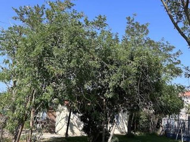 Maison vente à Perpignan, Le Barcarès