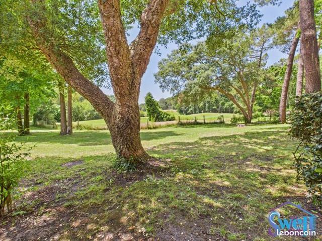 Maison vente à Moliets-et-maa, Landes