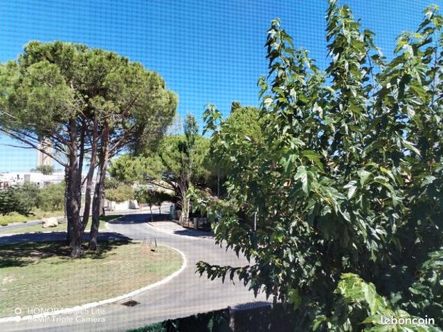 Maison vente à Nîmes, Le Grau-du-roi