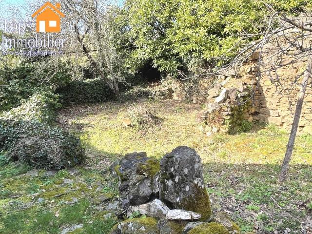 Maison vente à Villefranche-de-Rouergue, Bor-et-bar