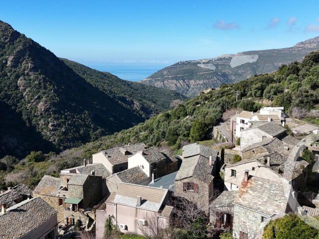 Maison vente à Bastia, Olcani