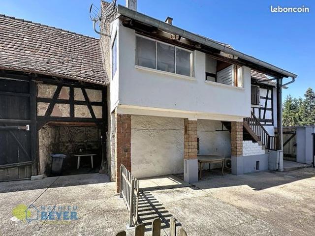 Maison vente à Molsheim, Avolsheim