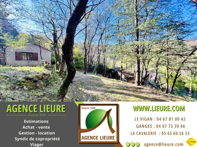Maison vente à Lascanals, Aumessas