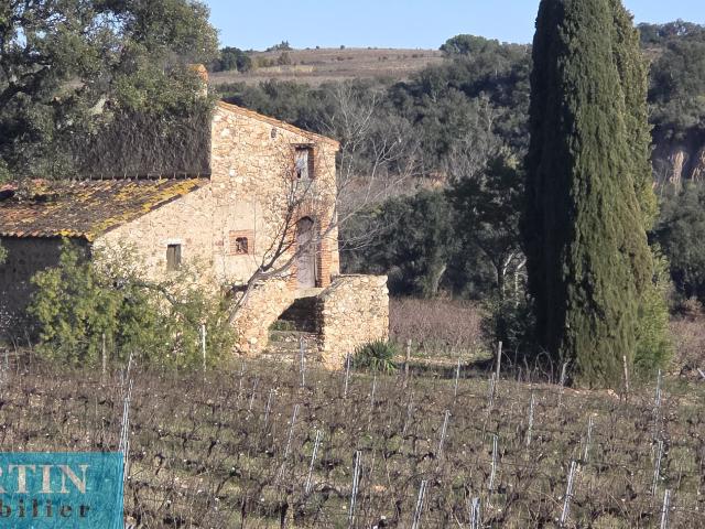 Maison vente à Céret, Passa
