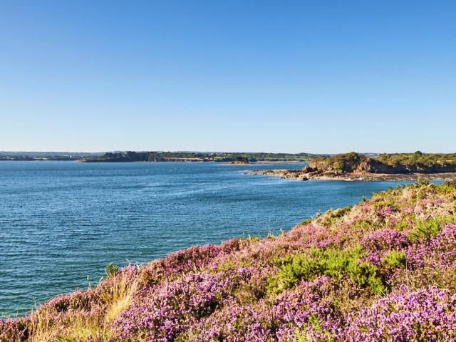 Maison vente à Brest, Bretagne