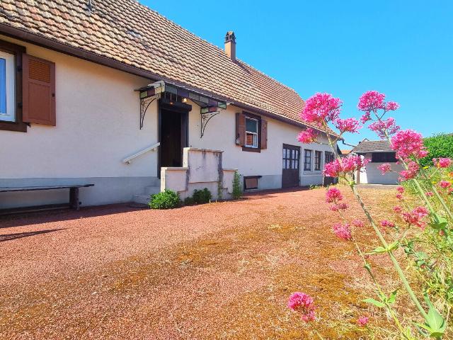 Maison vente à Sélestat-Erstein, Hilsenheim