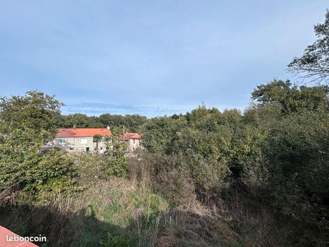 Maison vente à Nantes, Bouguenais