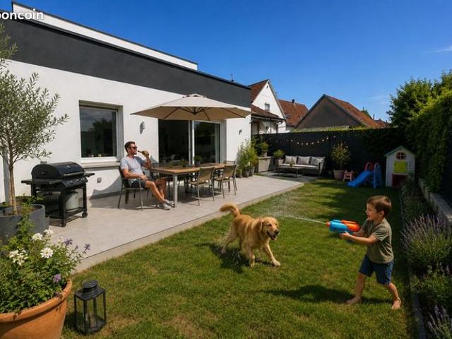 Maison vente à Haguenau-Wissembourg, Offendorf