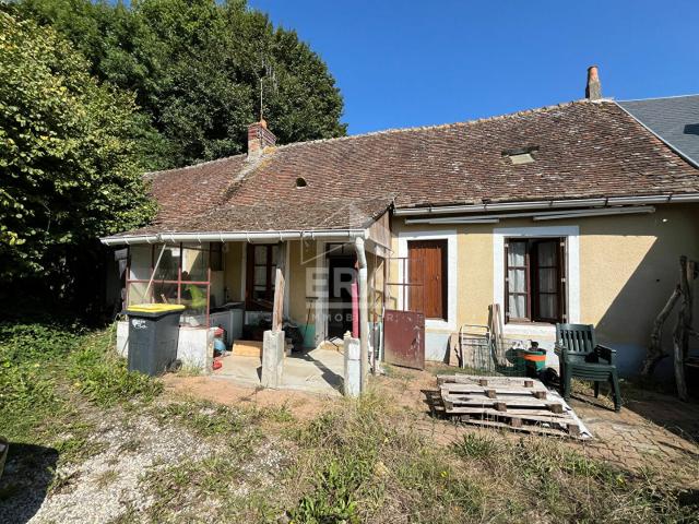 Maison vente à France métropolitaine, Montbizot