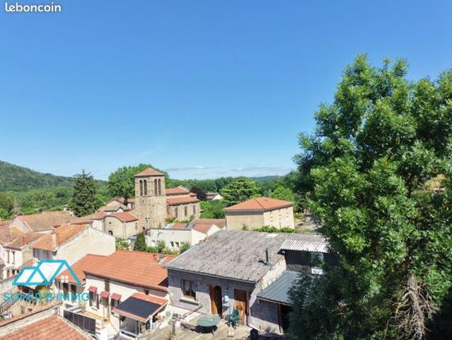 Maison vente à Issoire, Jumeaux