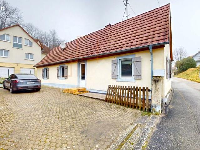 Maison vente à Haguenau-Wissembourg, Neewiller-près-lauterbourg