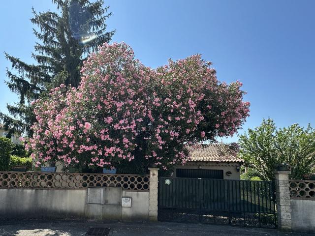 Maison vente à Nîmes, Bagnols-sur-cèze