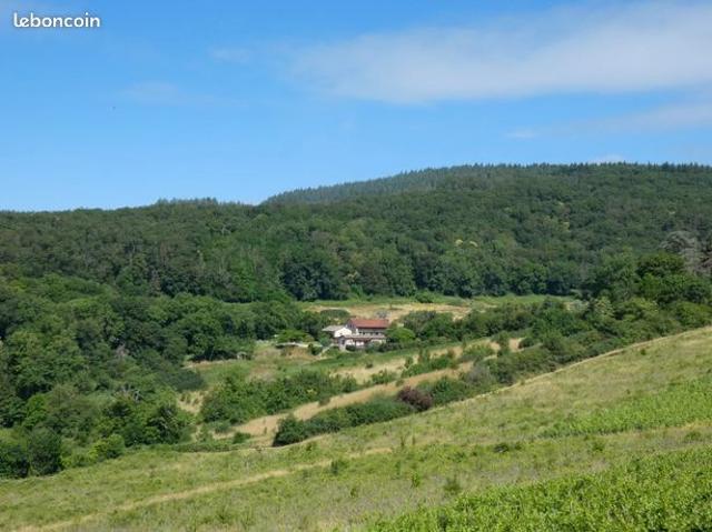 Maison vente à Mortagne-au-Perche, Igé