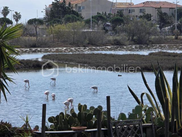Maison vente à Montpellier, Palavas-les-flots