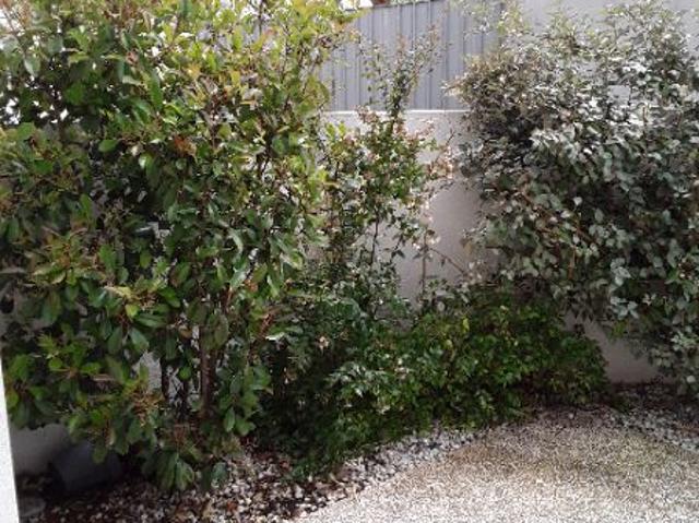 Maison location à La Rochelle, Lagord