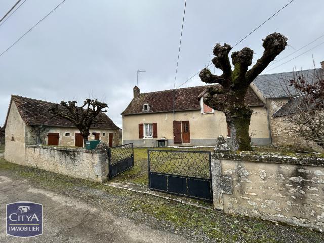Maison vente à Le Blanc, Sauzelles