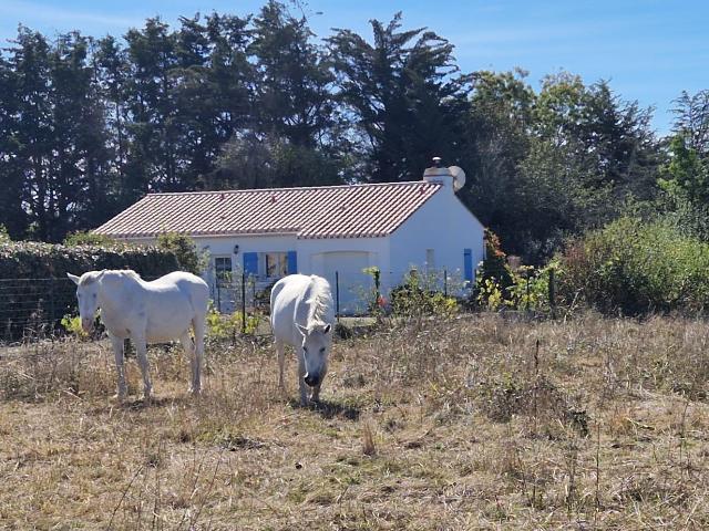 Maison vente à La Renaudière, La Plaine-sur-Mer