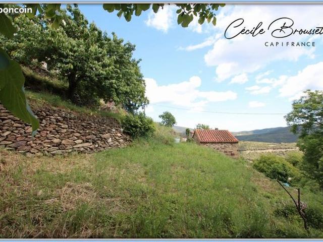 Maison vente à Céret, Taulis