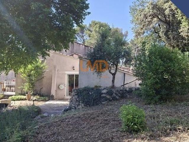 Maison vente à Pau, Vignes