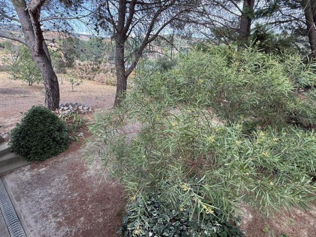 Maison vente à Félines-Minervois, Hérault