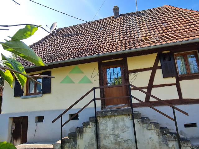 Maison vente à Steinbrunn-le-Haut, Collectivité européenne d'Alsace