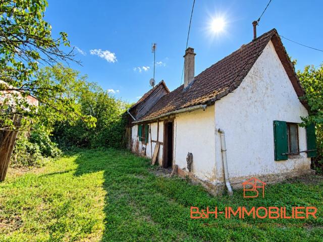Maison vente à Wittisheim, Collectivité européenne d'Alsace