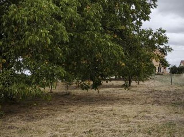 Maison vente à Neufchâteau, Ainvelle