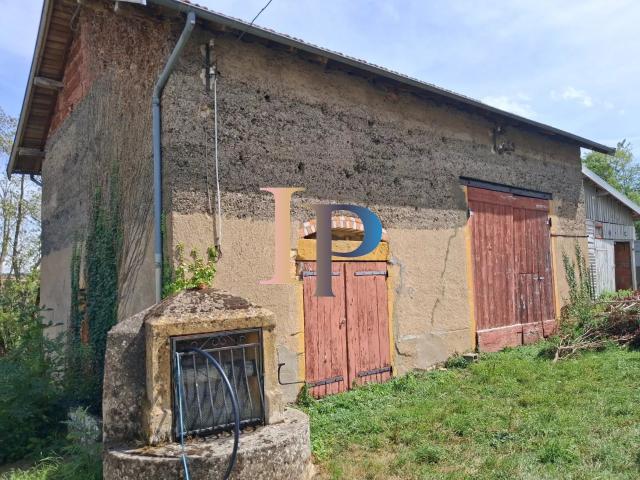 Maison vente à Roanne, Briennon