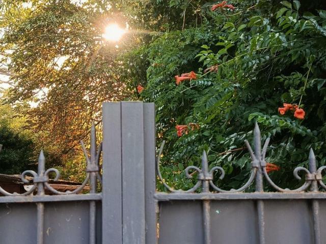 Maison vente à France métropolitaine, Toulouse