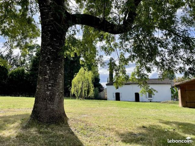 Maison vente à Noaillan, Gironde