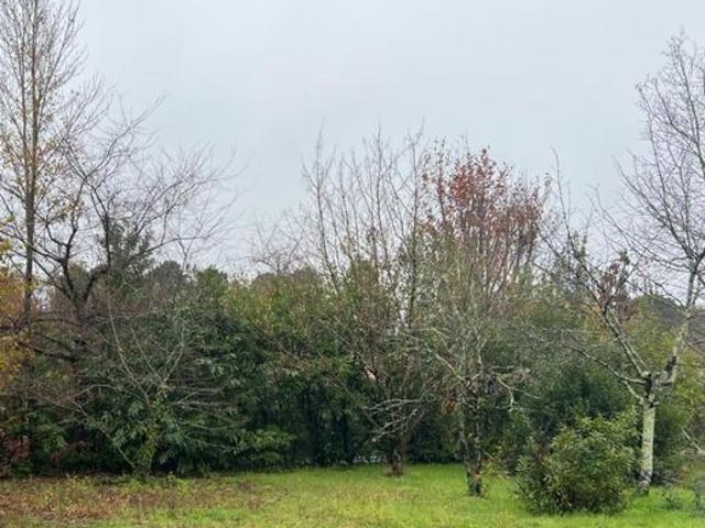 Maison vente à Bordeaux, Ambarès-et-lagrave