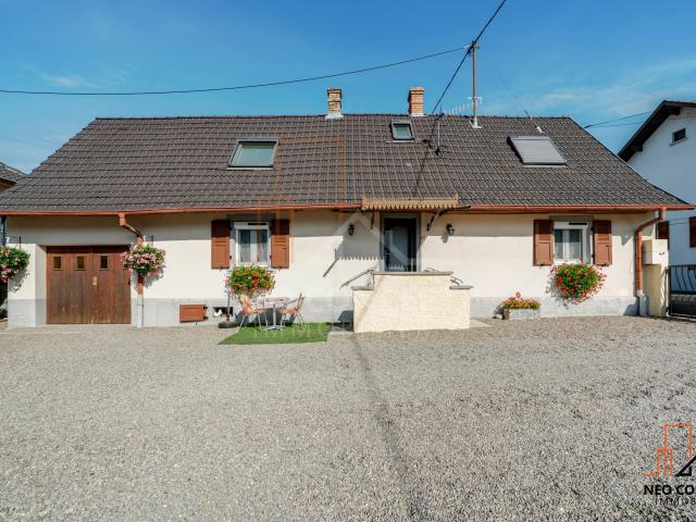 Maison vente à Sessenheim, Collectivité européenne d'Alsace