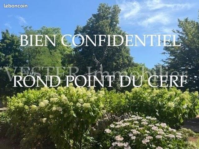 Maison vente à Le Vésinet