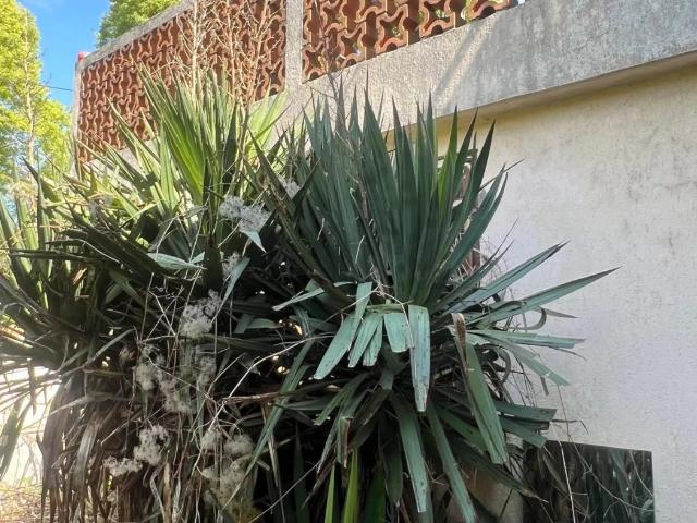 Maison vente à Villiers - Barbusse, Montreuil
