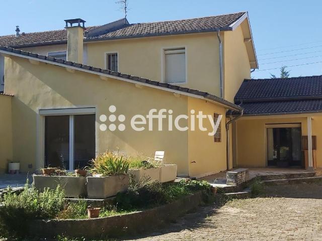 Maison vente à Lyon, Métropole de Lyon