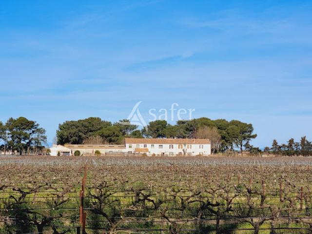Maison vente à Nîmes, Aigues-mortes