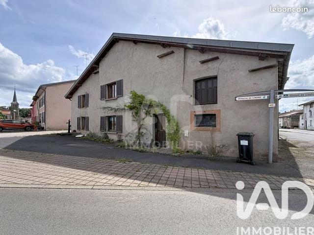 Maison vente à Sarrebourg-Château-Salins, Lindre-basse
