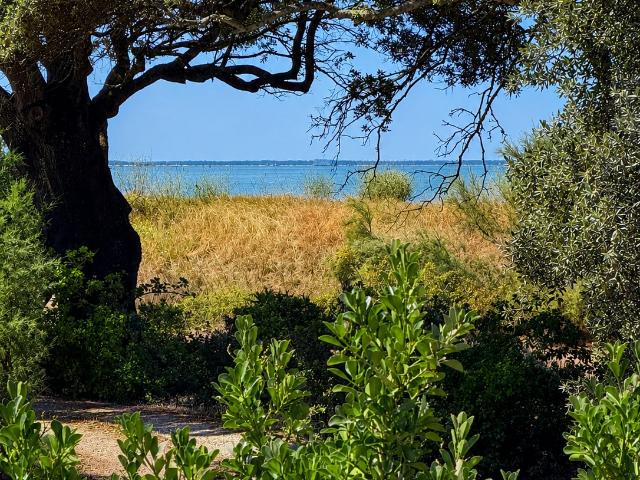 Maison vente à Domaine d'Orbigny, Châtelaillon-Plage