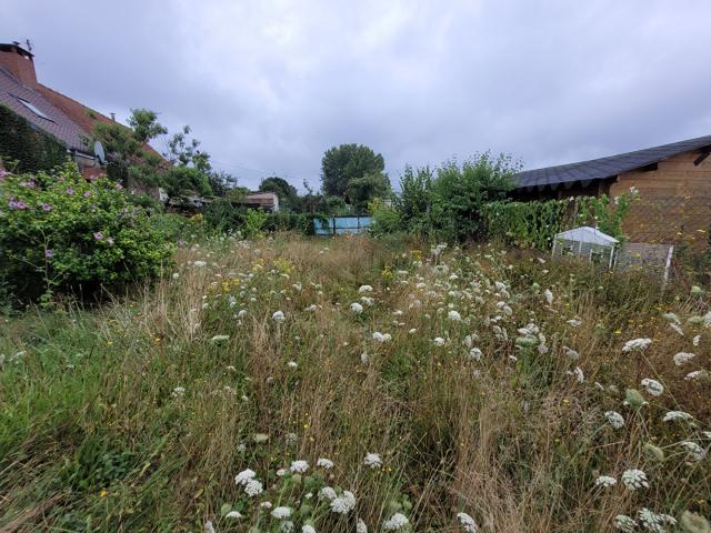 Maison vente à Raismes, Nord