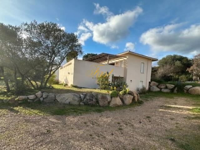 Maison vente à Sartène, Lecci