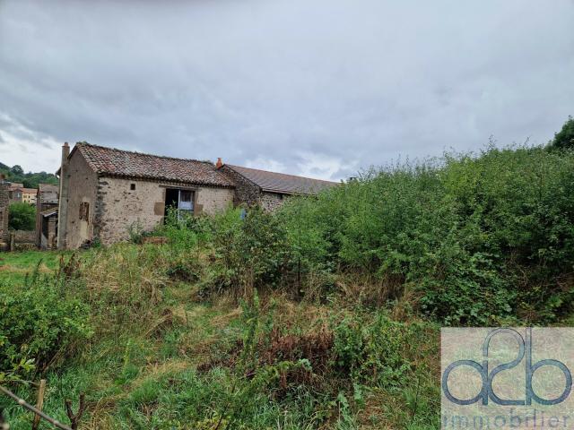 Maison vente à France métropolitaine, Siaugues-sainte-marie