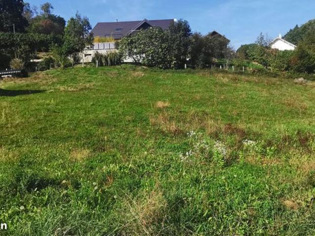 Maison vente à Chambéry, Aiguebelette-le-lac