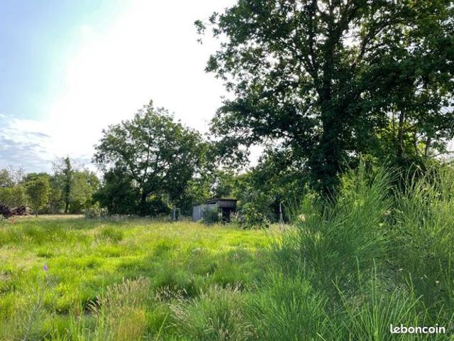 Maison vente à Lacanau, Gironde