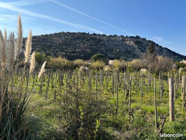 Maison vente à Tournon-sur-Rhône, Cornas