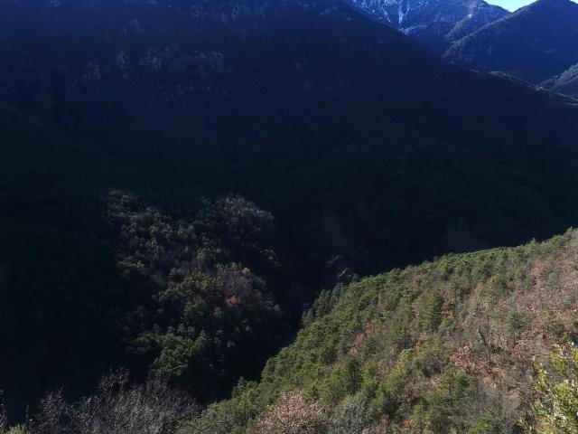 Maison vente à Grasse, Provence-Alpes-Côte d'Azur