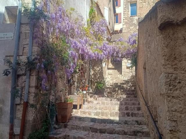 Maison vente à Arrondissement de Draguignan, Callas