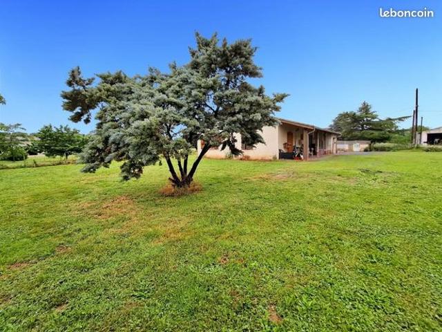 Maison vente à Montauban, Mas-grenier