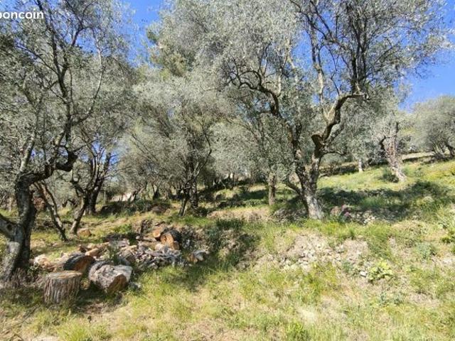 Maison vente à Nice, Saint-martin-du-var